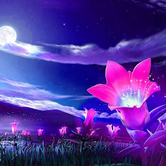 アークトゥルス評議会と一緒に 